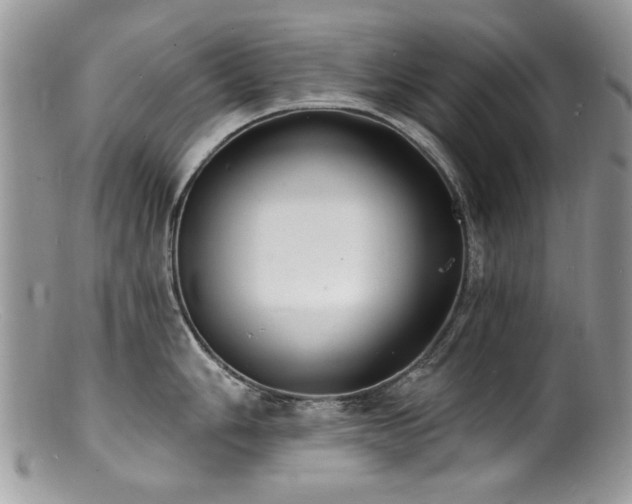 X0000100841006200806201146