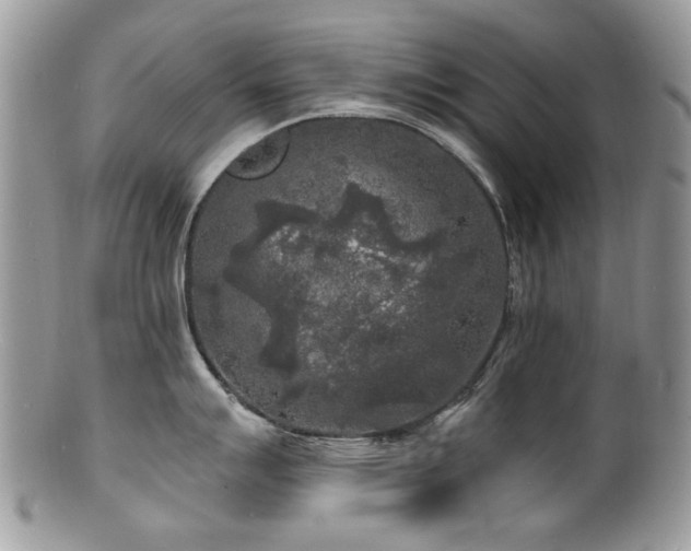 X0000100841007200806201146