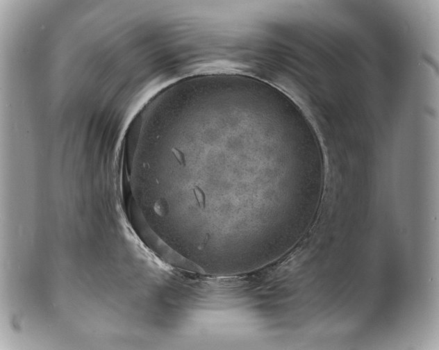 X0000100841008200806201146