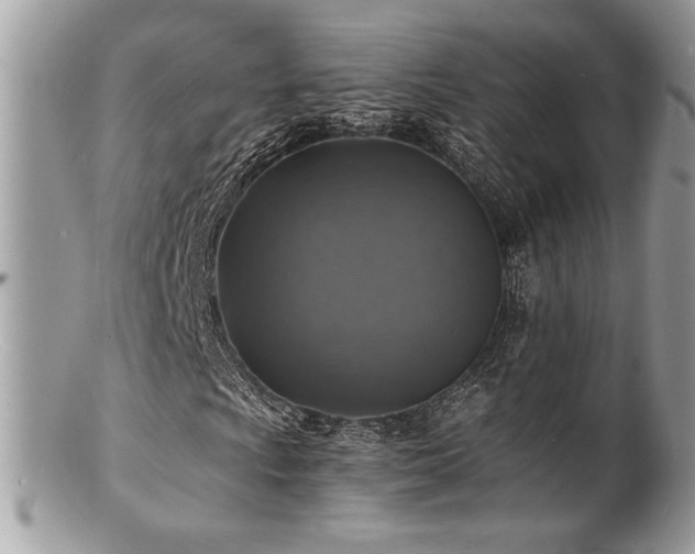 X0000100841009200806201145