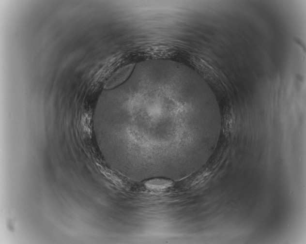 X0000100841010200806201145