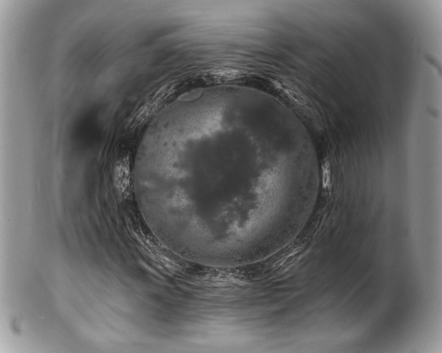 X0000100841011200806201145