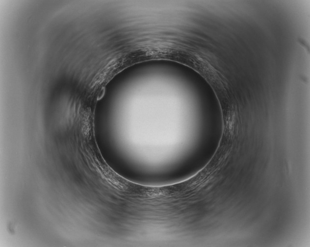 X0000100841012200806201145