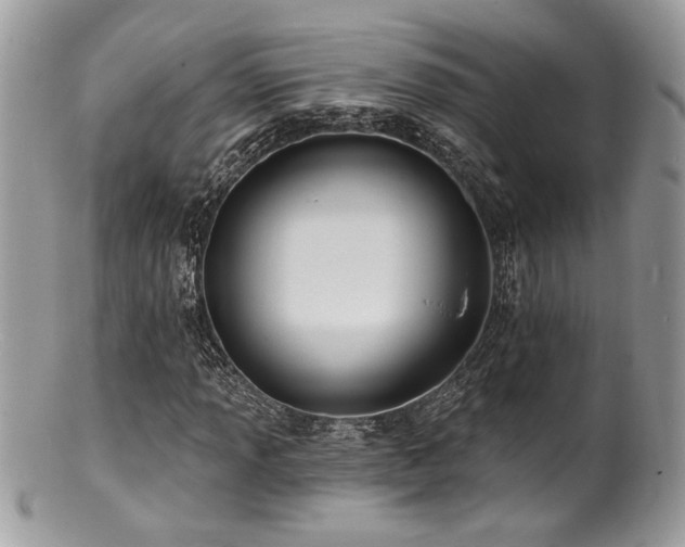 X0000100841013200806201145