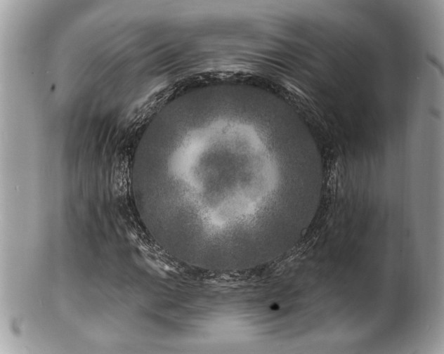 X0000100841014200806201145