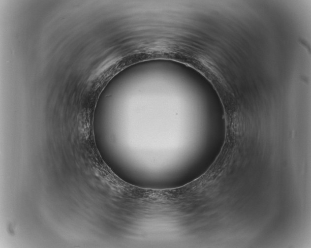 X0000100841015200806201145