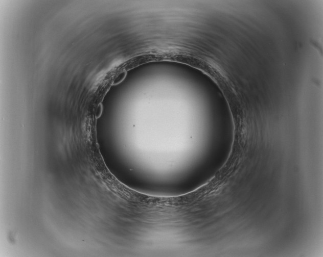 X0000100841016200806201145