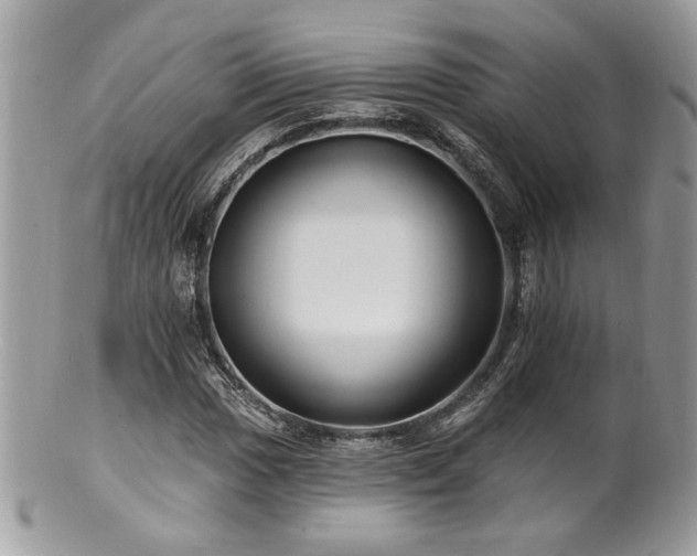 X0000100841017200806201145