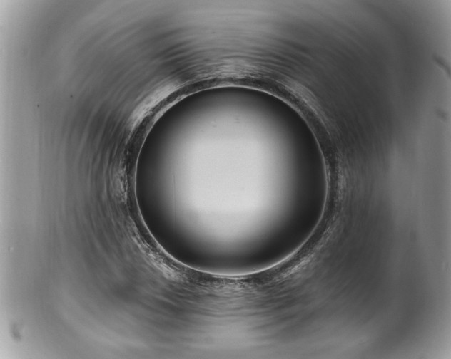 X0000100841018200806201145