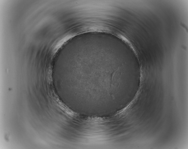 X0000100841019200806201145