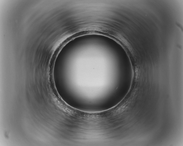 X0000100841020200806201145