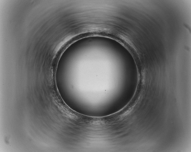 X0000100841021200806201145