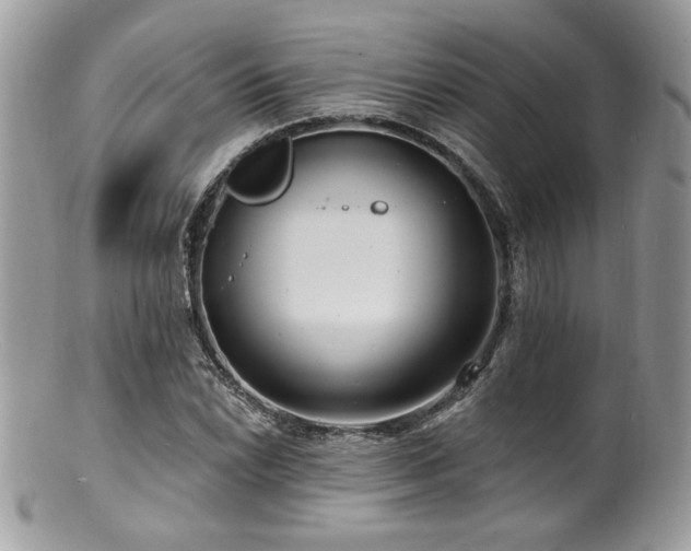 X0000100841022200806201145