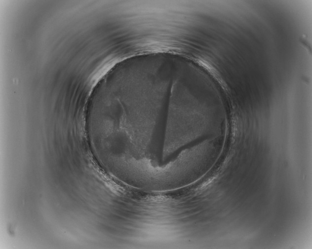 X0000100841023200806201145