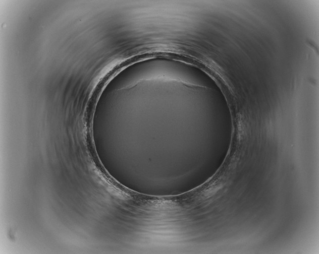 X0000100841024200806201145