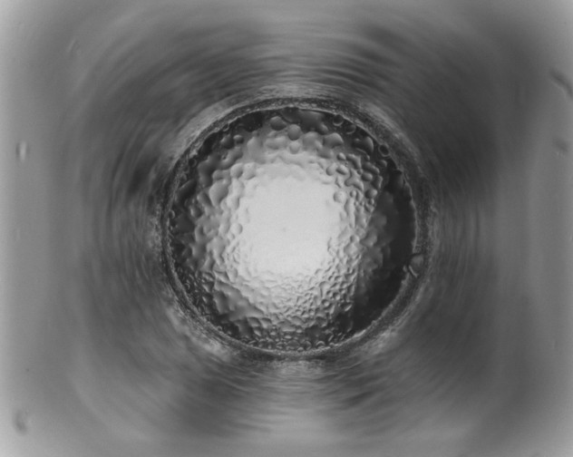 X0000100841025200806201145