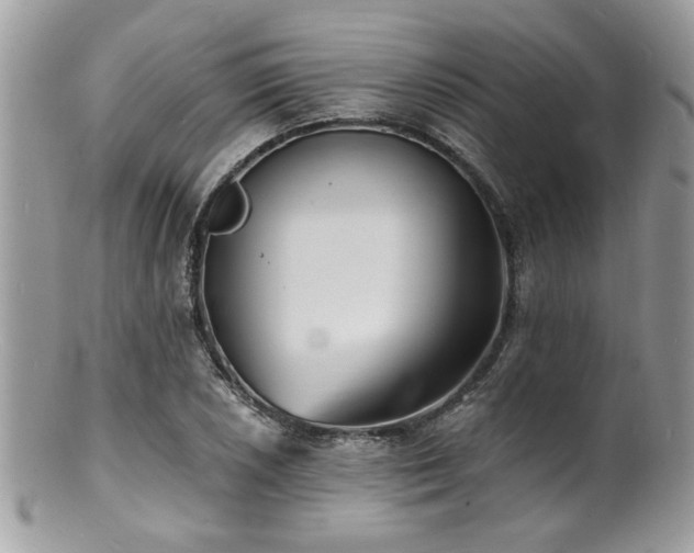 X0000100841026200806201145