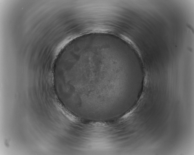 X0000100841027200806201145