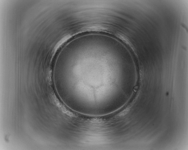 X0000100841029200806201145