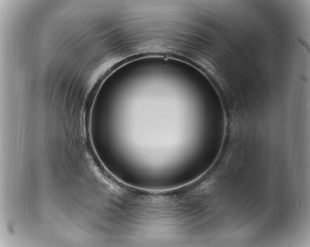 X0000100841030200806201146