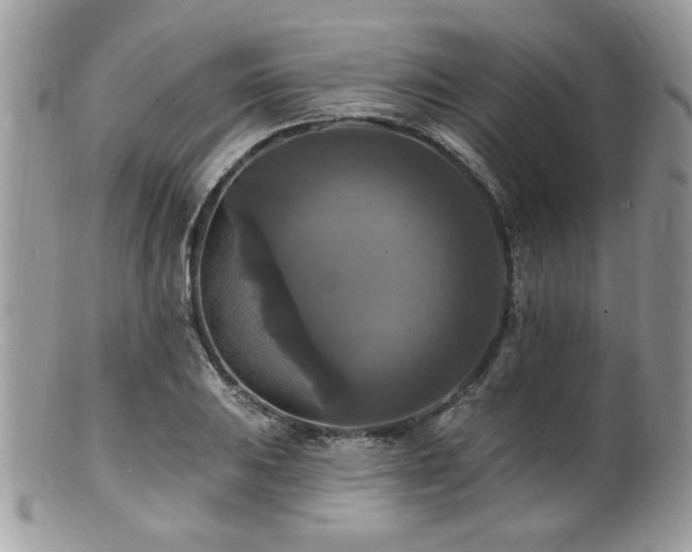 X0000100841031200806201146