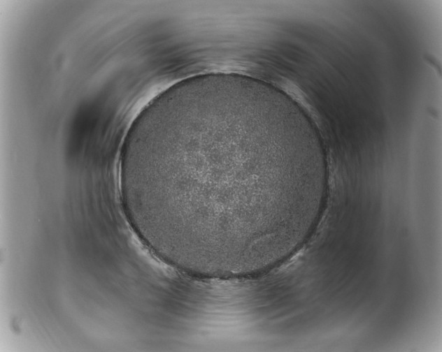 X0000100841032200806201146