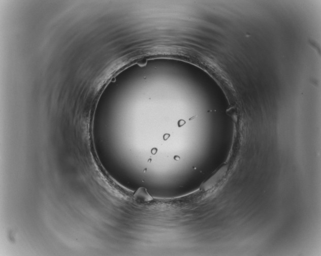 X0000100841033200806201146