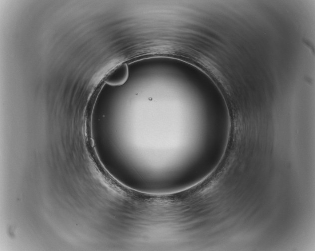 X0000100841034200806201146