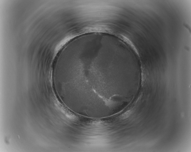 X0000100841035200806201146