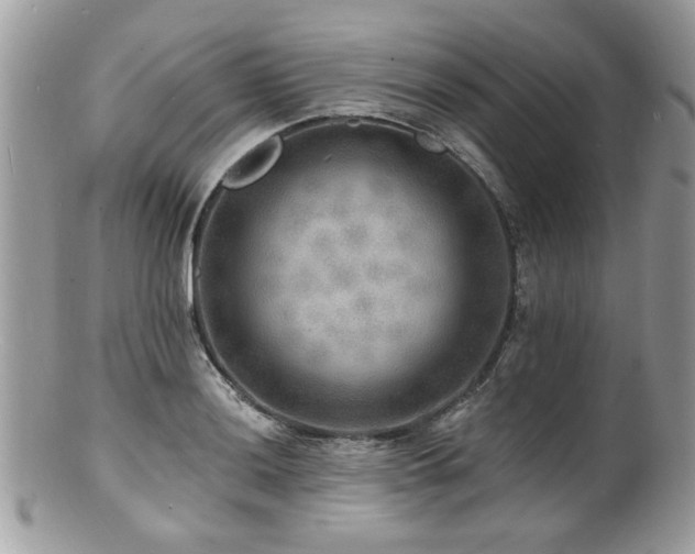 X0000100841036200806201146