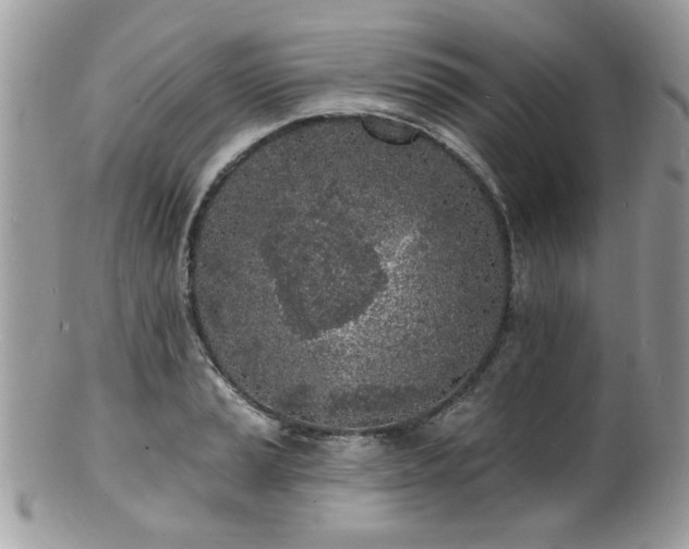 X0000100841037200806201146