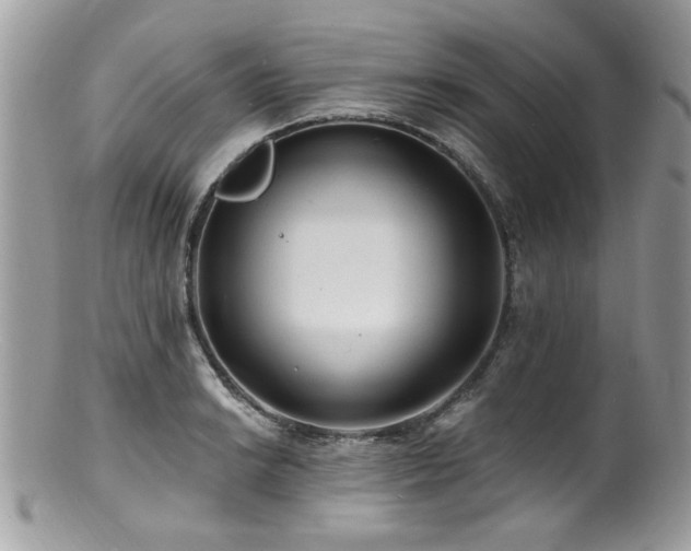 X0000100841038200806201146