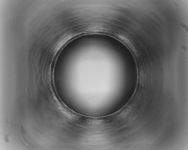 X0000100841039200806201146