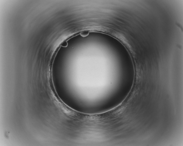 X0000100841040200806201146