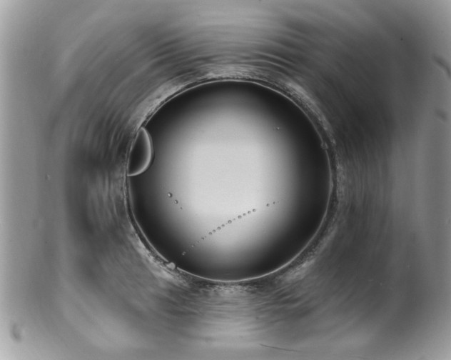 X0000100841041200806201146