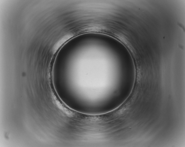 X0000100841042200806201146