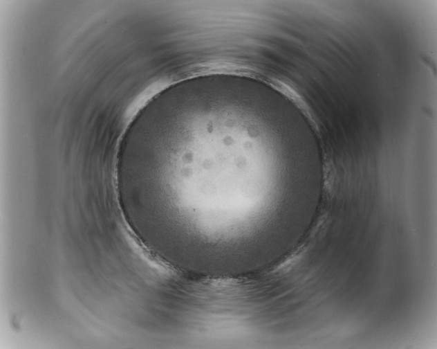 X0000100841043200806201146