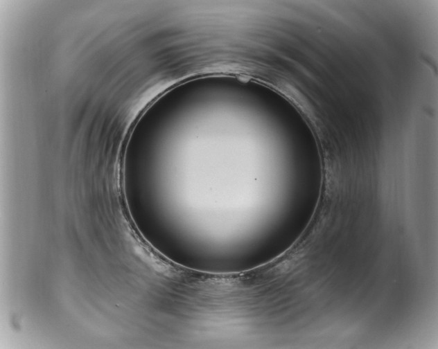 X0000100841044200806201146