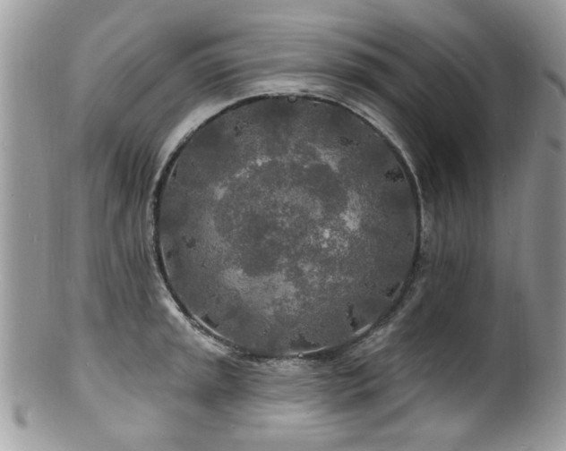 X0000100841045200806201146