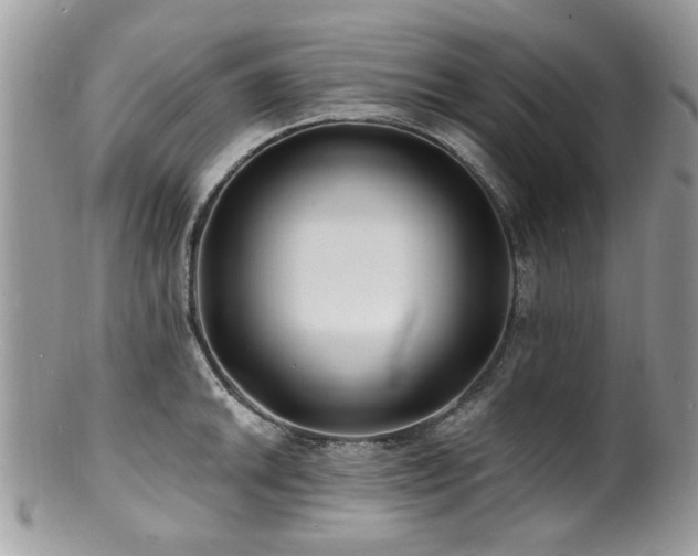 X0000100841046200806201146