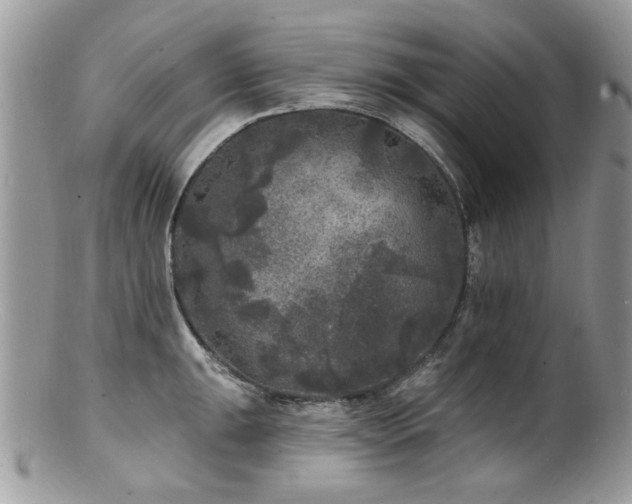 X0000100841047200806201146