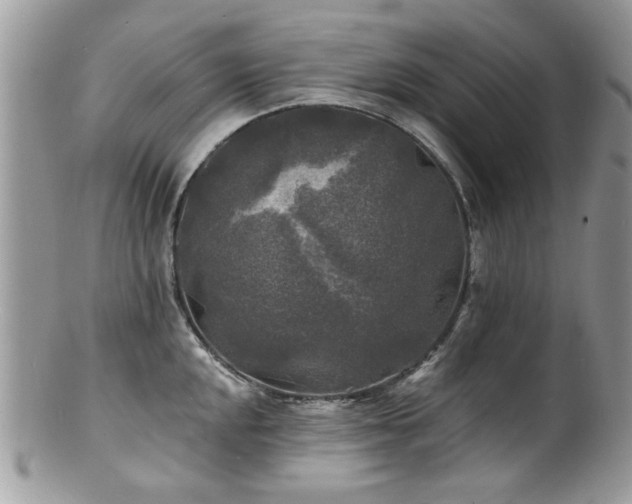 X0000100841048200806201146