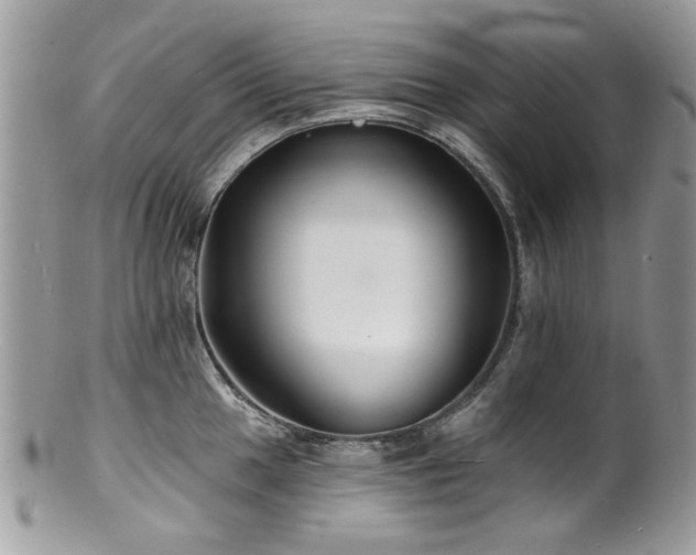 X0000100841049200806201146