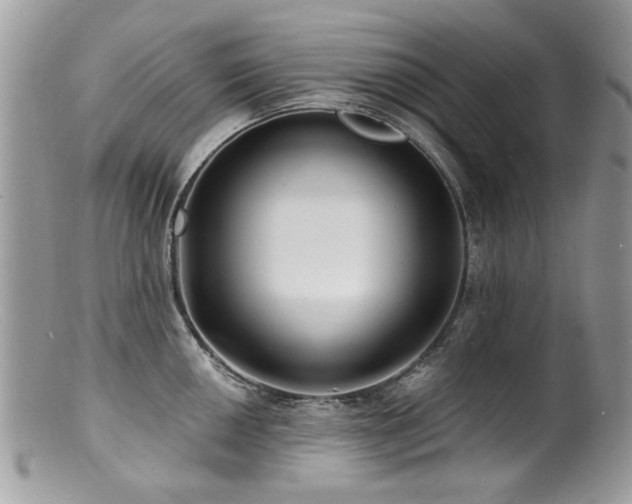 X0000100841050200806201146