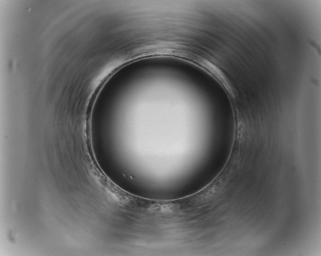 X0000100841051200806201146