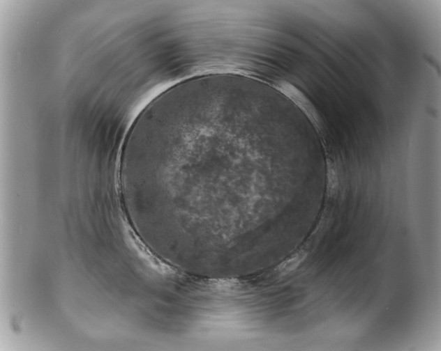 X0000100841052200806201146