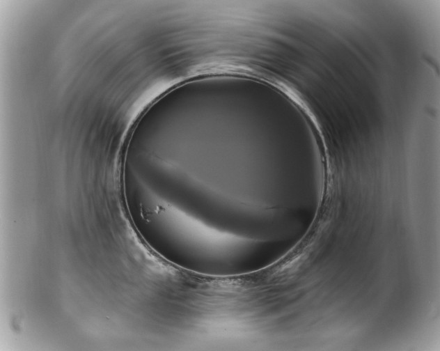 X0000100841053200806201146