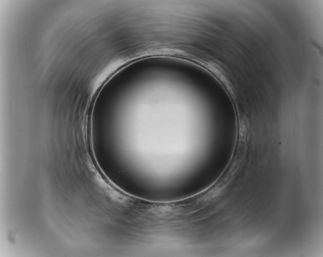 X0000100841054200806201146