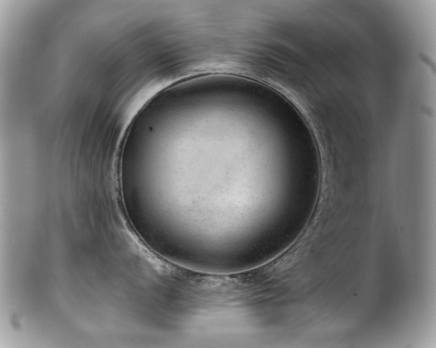 X0000100841056200806201146