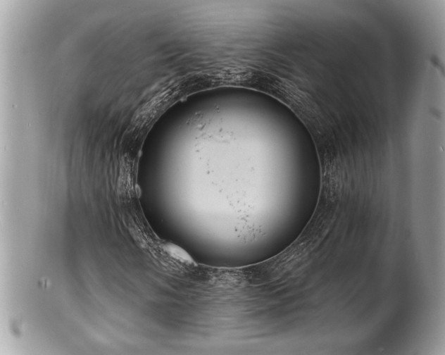 X0000100841058200806201145